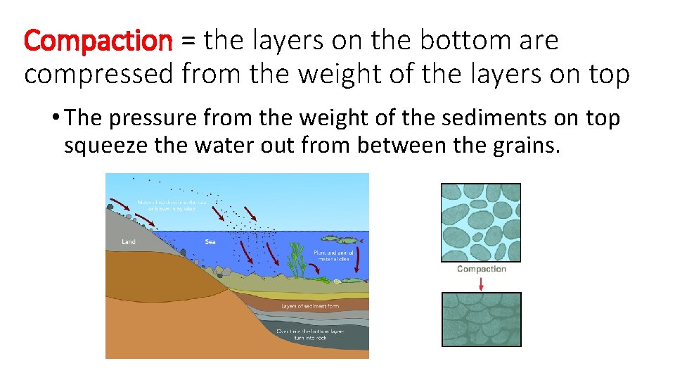 Compaction = the layers on the bottom are compressed from the weight of the
