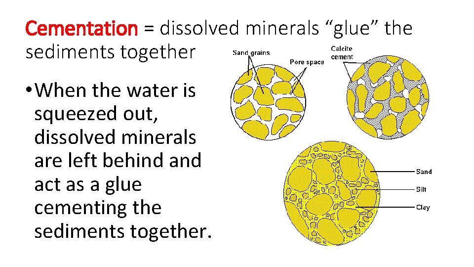 Cementation = dissolved minerals “glue” the sediments together • When the water is squeezed