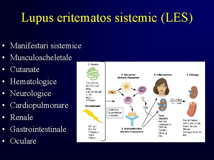 Lupus eritematos sistemic (LES) • • • Manifestari sistemice Musculoscheletale Cutanate Hematologice Neurologice Cardiopulmonare