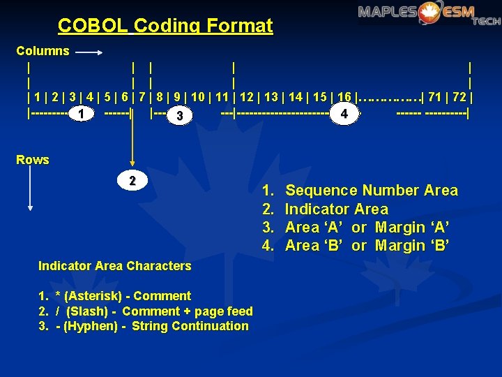 COBOL Coding Format Columns | | | 1 | 2 | 3 | 4