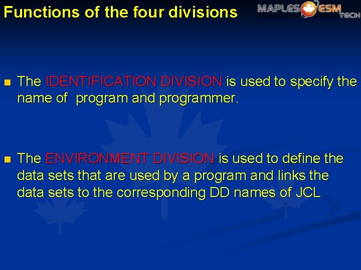 Functions of the four divisions n The IDENTIFICATION DIVISION is used to specify the