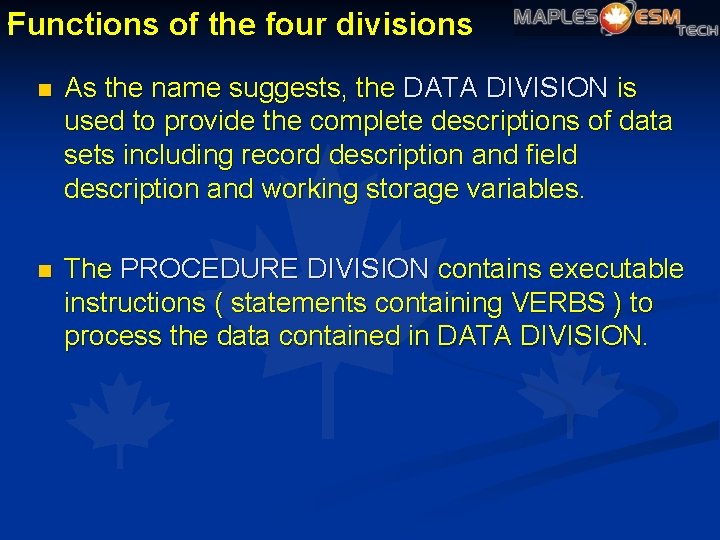 . Functions of the four divisions n As the name suggests, the DATA DIVISION