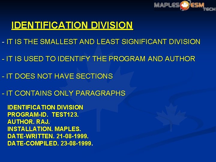 IDENTIFICATION DIVISION - IT IS THE SMALLEST AND LEAST SIGNIFICANT DIVISION - IT IS