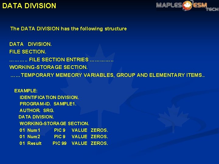 DATA DIVISION The DATA DIVISION has the following structure DATA DIVISION. FILE SECTION. ……….