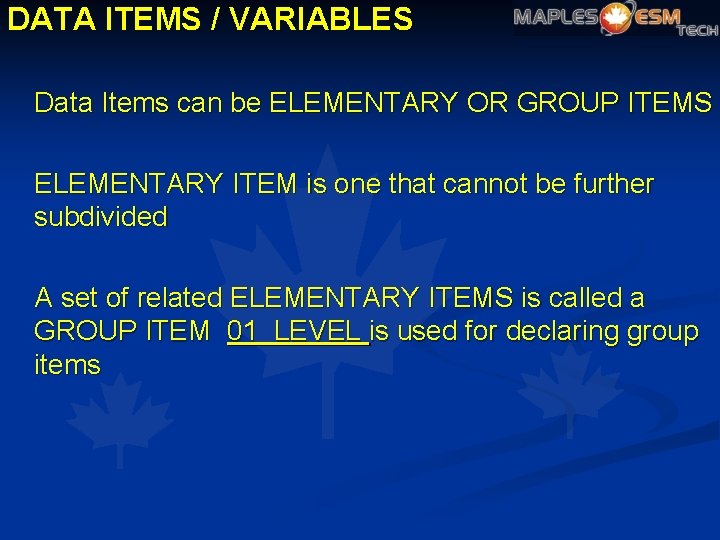 DATA ITEMS / VARIABLES Data Items can be ELEMENTARY OR GROUP ITEMS ELEMENTARY ITEM