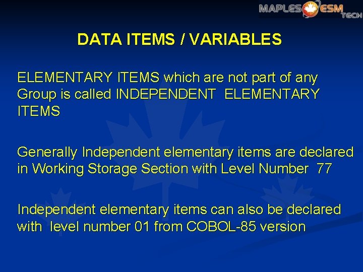 DATA ITEMS / VARIABLES ELEMENTARY ITEMS which are not part of any Group is
