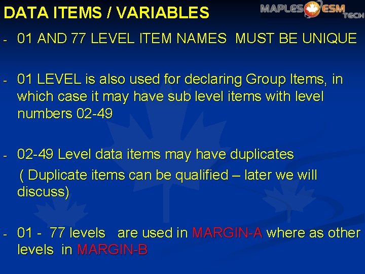 DATA ITEMS / VARIABLES - 01 AND 77 LEVEL ITEM NAMES MUST BE UNIQUE
