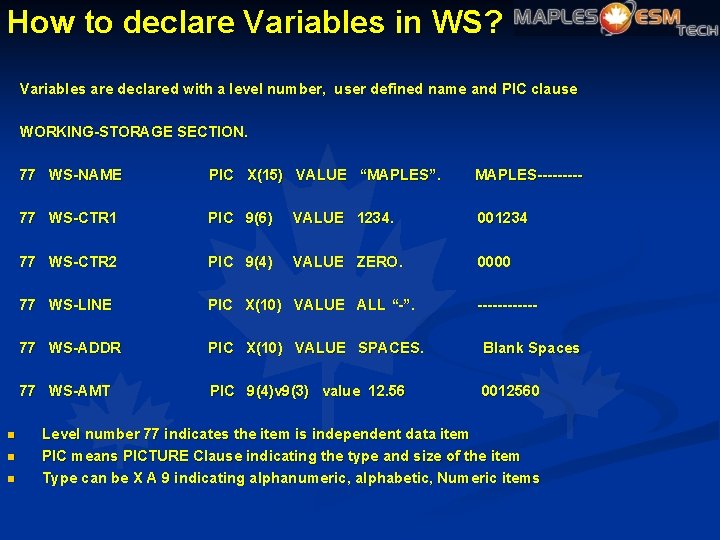 How to declare Variables in WS? Variables are declared with a level number, user