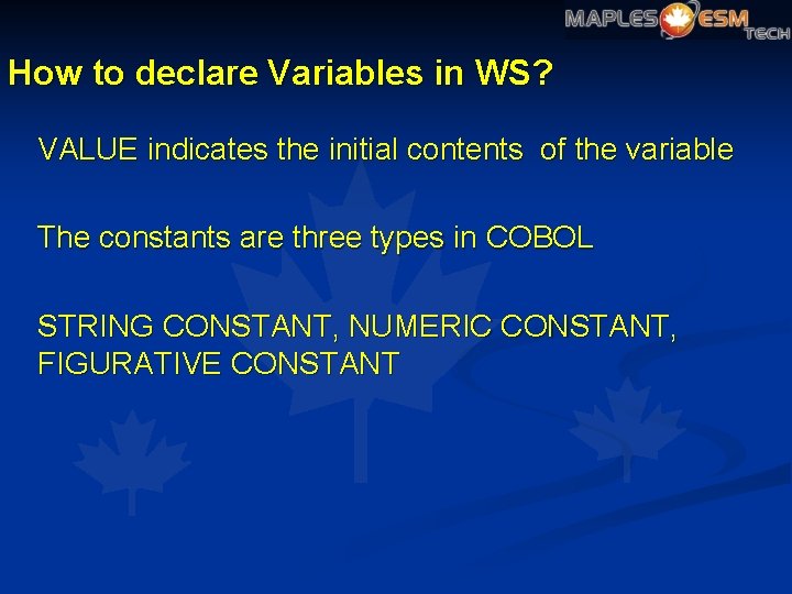 How to declare Variables in WS? VALUE indicates the initial contents of the variable