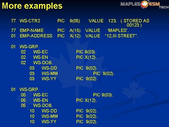 More examples 77 WS-CTR 2 PIC 9(05) 77 EMP-NAME 01 EMP-ADDRESS PIC A(15) X(12)