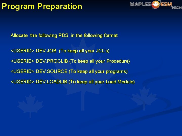 Program Preparation Allocate the following PDS in the following format <USERID>. DEV. JOB (To