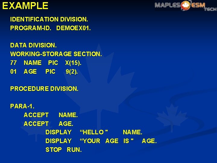 EXAMPLE IDENTIFICATION DIVISION. PROGRAM-ID. DEMOEX 01. DATA DIVISION. WORKING-STORAGE SECTION. 77 NAME PIC X(15).