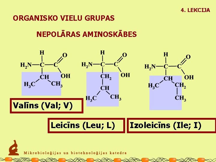 4. LEKCIJA ORGANISKO VIELU GRUPAS NEPOLĀRAS AMINOSKĀBES Valīns (Val; V) Leicīns (Leu; L) Izoleicīns