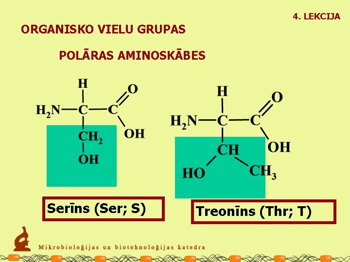4. LEKCIJA ORGANISKO VIELU GRUPAS POLĀRAS AMINOSKĀBES Serīns (Ser; S) Treonīns (Thr; T) 
