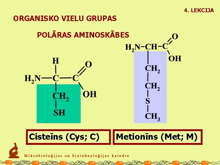 4. LEKCIJA ORGANISKO VIELU GRUPAS POLĀRAS AMINOSKĀBES Cisteīns (Cys; C) Metionīns (Met; M) 