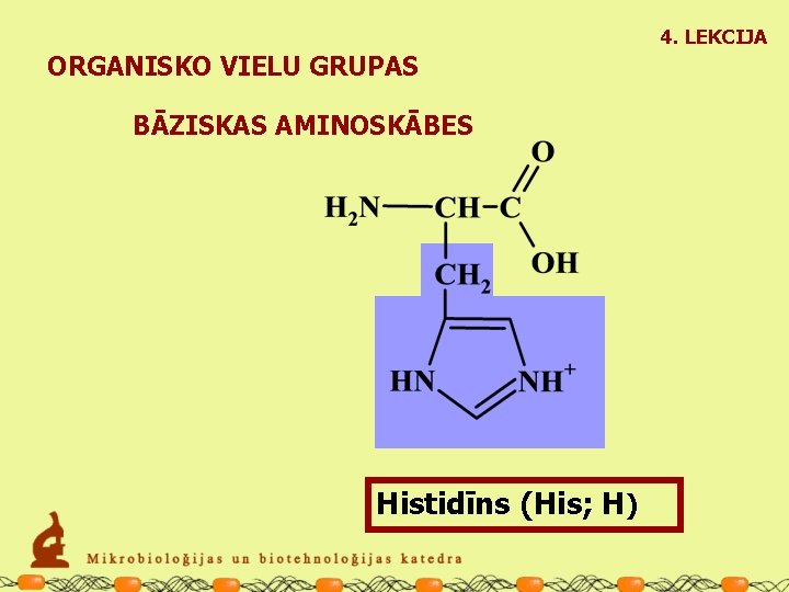 4. LEKCIJA ORGANISKO VIELU GRUPAS BĀZISKAS AMINOSKĀBES Histidīns (His; H) 
