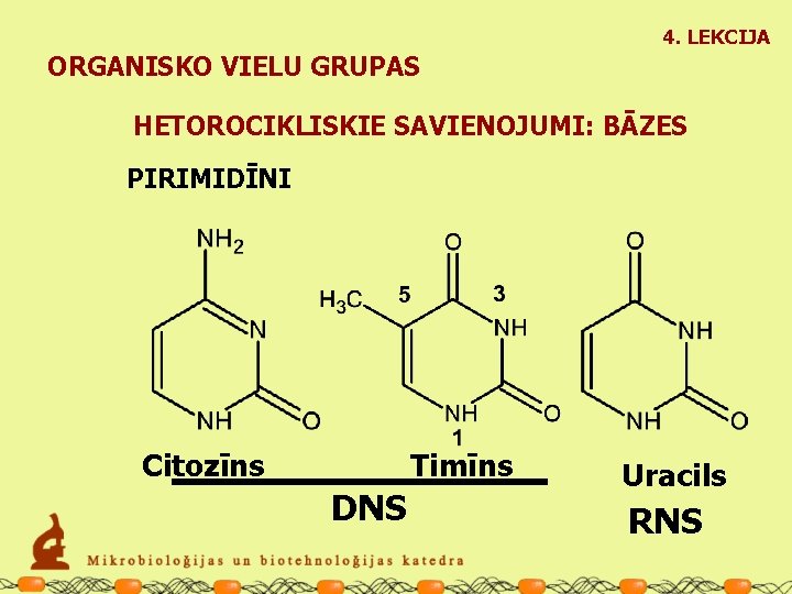 4. LEKCIJA ORGANISKO VIELU GRUPAS HETOROCIKLISKIE SAVIENOJUMI: BĀZES PIRIMIDĪNI Citozīns Timīns DNS Uracils RNS