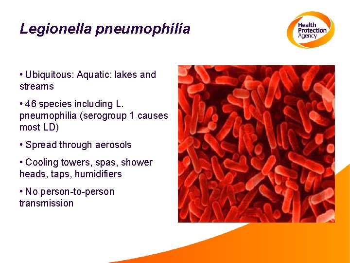 Legionella pneumophilia • Ubiquitous: Aquatic: lakes and streams • 46 species including L. pneumophilia