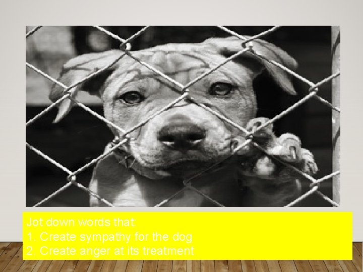 Jot down words that: 1. Create sympathy for the dog 2. Create anger at