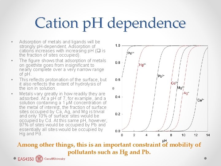 Cation p. H dependence • • Adsorption of metals and ligands will be strongly