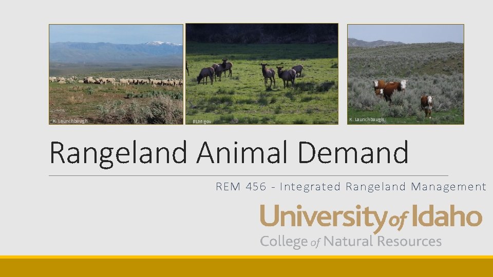 K. Launchbaugh BLM. gov K. Launchbaugh Rangeland Animal Demand REM 456 - Integrated Rangeland