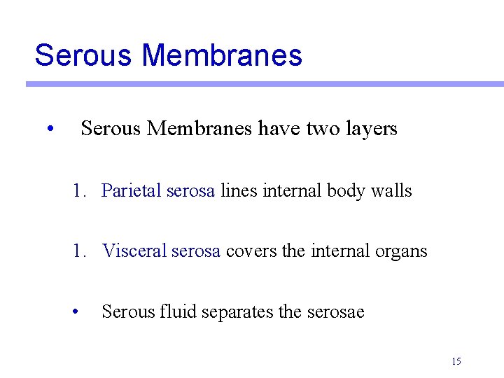 Serous Membranes • Serous Membranes have two layers 1. Parietal serosa lines internal body