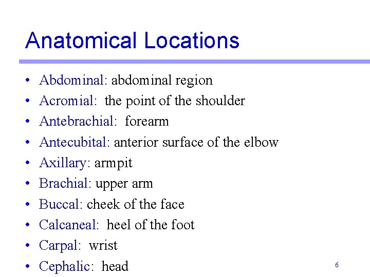 Anatomical Locations • • • Abdominal: abdominal region Acromial: the point of the shoulder