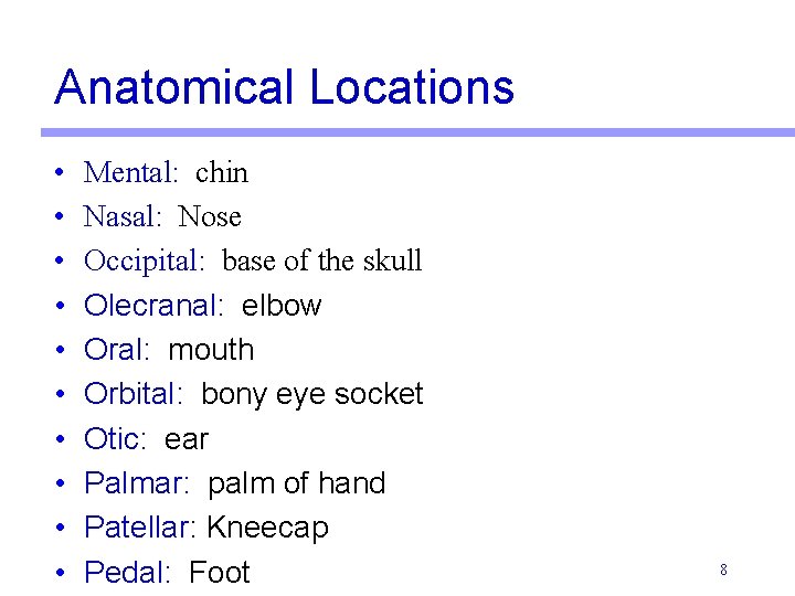 Anatomical Locations • • • Mental: chin Nasal: Nose Occipital: base of the skull