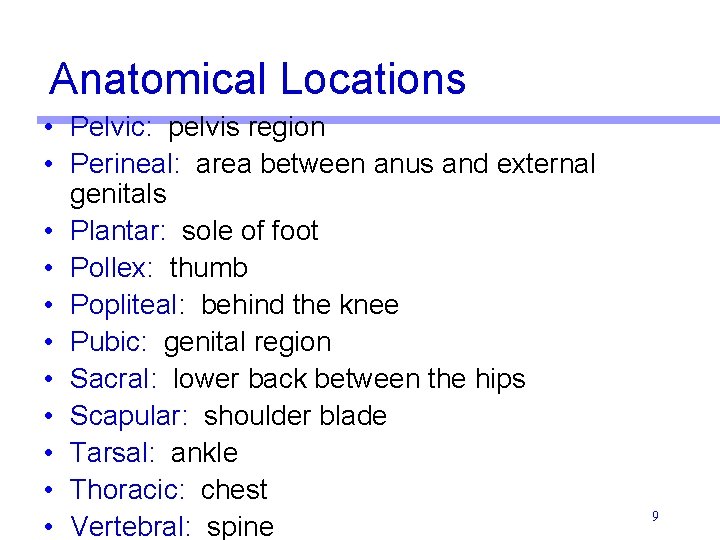 Anatomical Locations • Pelvic: pelvis region • Perineal: area between anus and external genitals