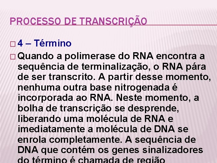 PROCESSO DE TRANSCRIÇÃO � 4 – Término � Quando a polimerase do RNA encontra