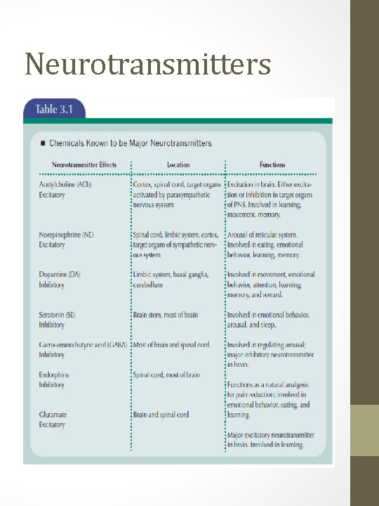 Neurotransmitters 