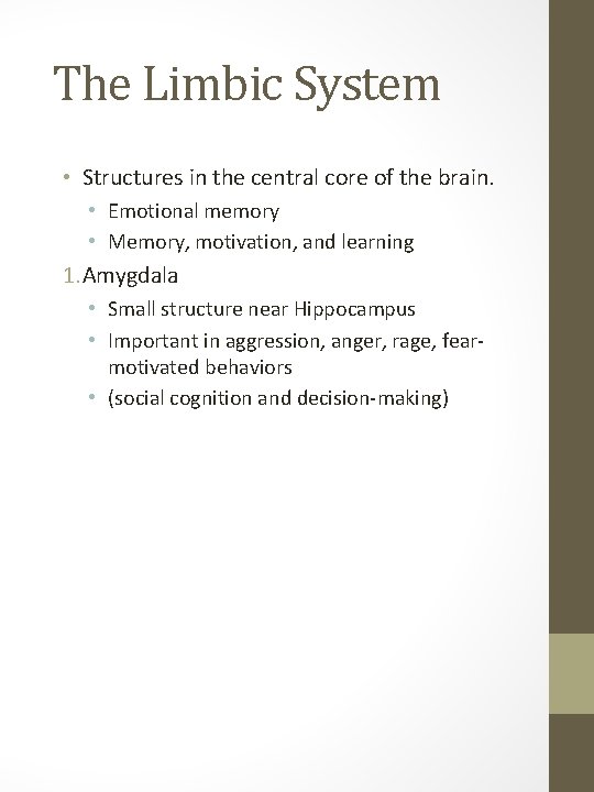 The Limbic System • Structures in the central core of the brain. • Emotional