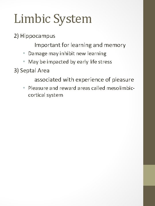 Limbic System 2) Hippocampus Important for learning and memory • Damage may inhibit new
