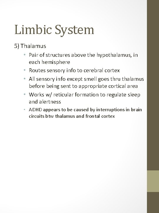Limbic System 5) Thalamus • Pair of structures above the hypothalamus, in each hemisphere