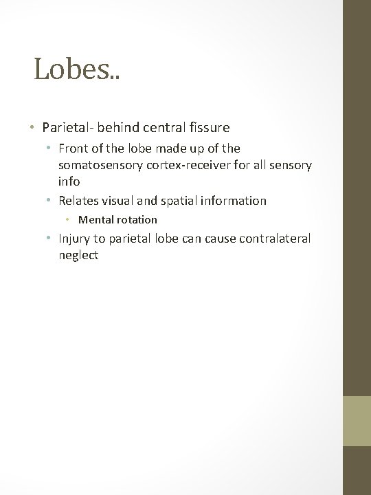 Lobes. . • Parietal- behind central fissure • Front of the lobe made up