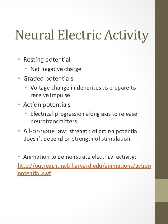 Neural Electric Activity • Resting potential • Net negative charge • Graded potentials •