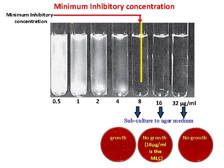 Minimum Inhibitory concentration 0. 5 1 2 4 8 16 32 µg/ml Sub-culture to