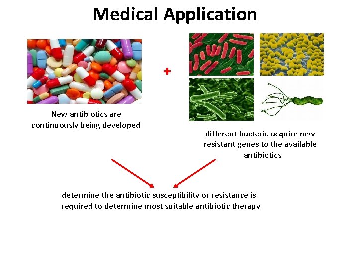 Medical Application + New antibiotics are continuously being developed different bacteria acquire new resistant