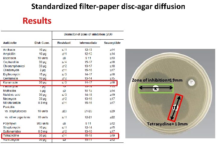 Standardized filter-paper disc-agar diffusion Results Zone of inhibition=19 mm K TE Tetracycline= 13 mm