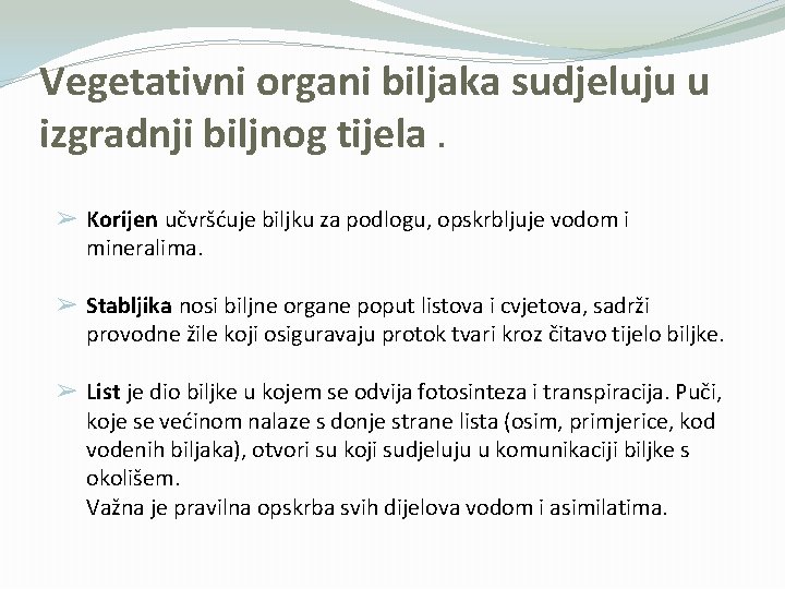 Vegetativni organi biljaka sudjeluju u izgradnji biljnog tijela. ➢ Korijen učvršćuje biljku za podlogu,