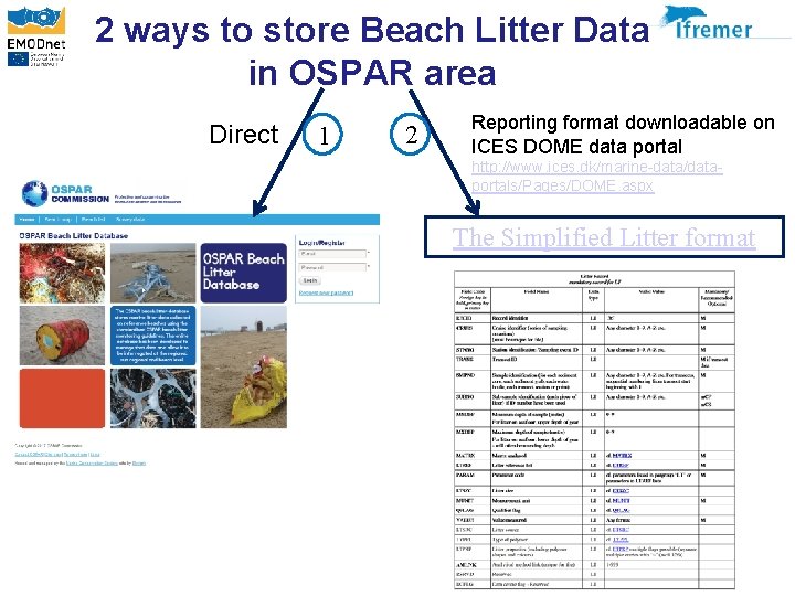 2 ways to store Beach Litter Data in OSPAR area Direct 1 2 Reporting