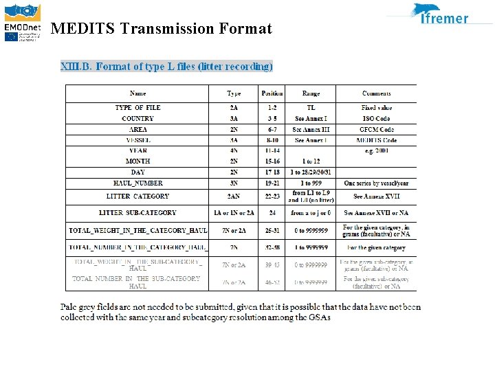 MEDITS Transmission Format 