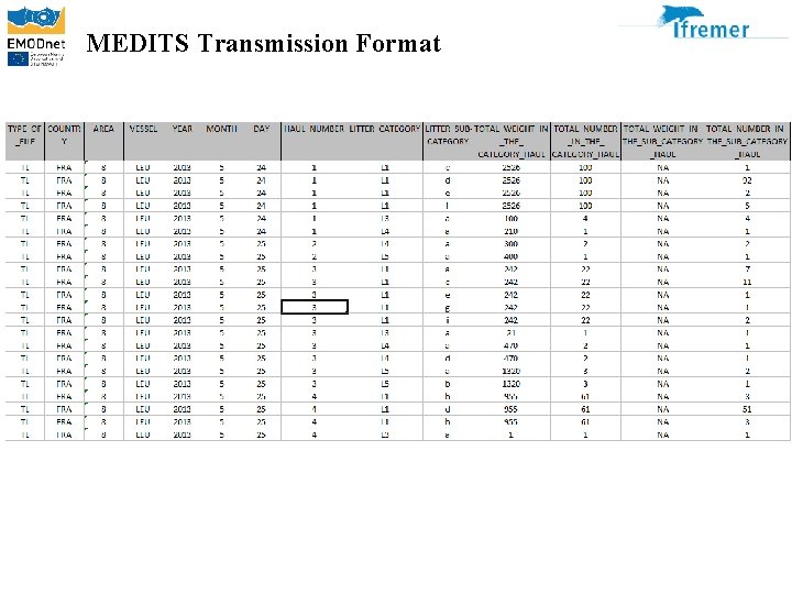 MEDITS Transmission Format 