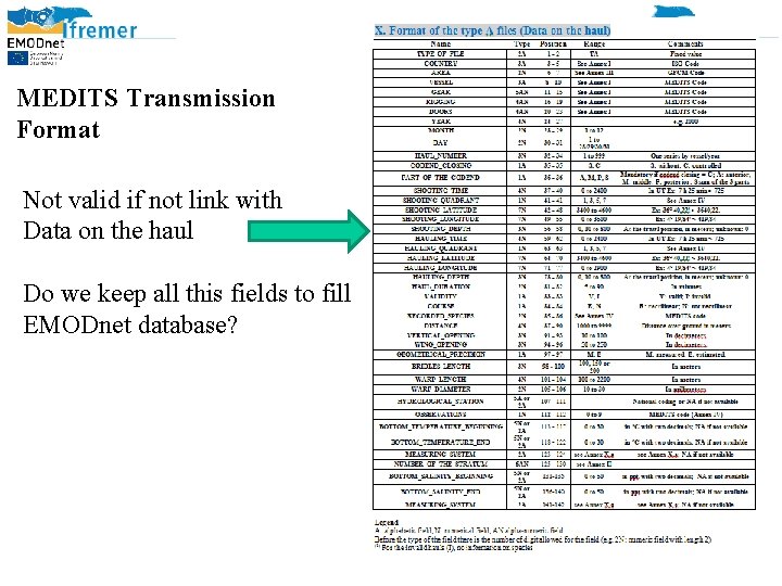 MEDITS Transmission Format Not valid if not link with Data on the haul Do