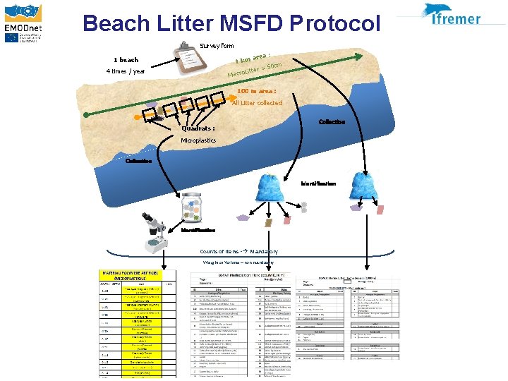 Beach Litter MSFD Protocol Survey form : area 1 km 50 cm ter >