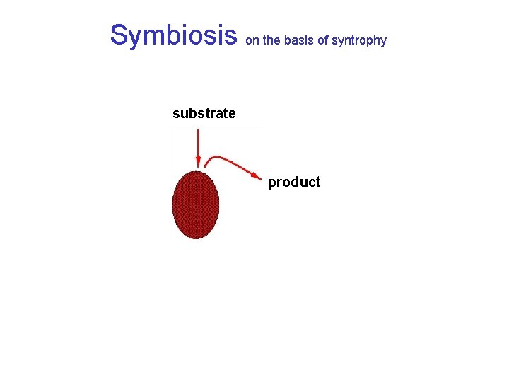 Symbiosis on the basis of syntrophy substrate product 