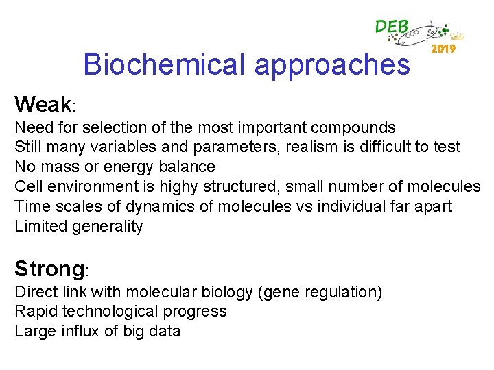 Biochemical approaches 2019 Weak: Need for selection of the most important compounds Still many