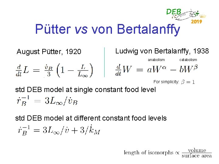 Pütter vs von Bertalanffy August Pütter, 1920 2019 Ludwig von Bertalanffy, 1938 anabolism catabolism