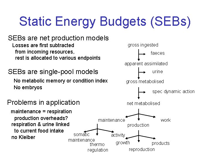 Static Energy Budgets (SEBs) SEBs are net production models gross ingested Losses are first