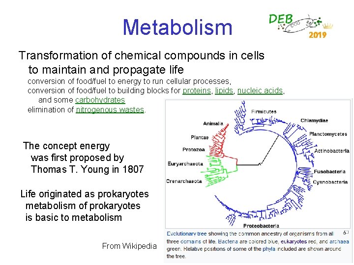 Metabolism Transformation of chemical compounds in cells to maintain and propagate life conversion of